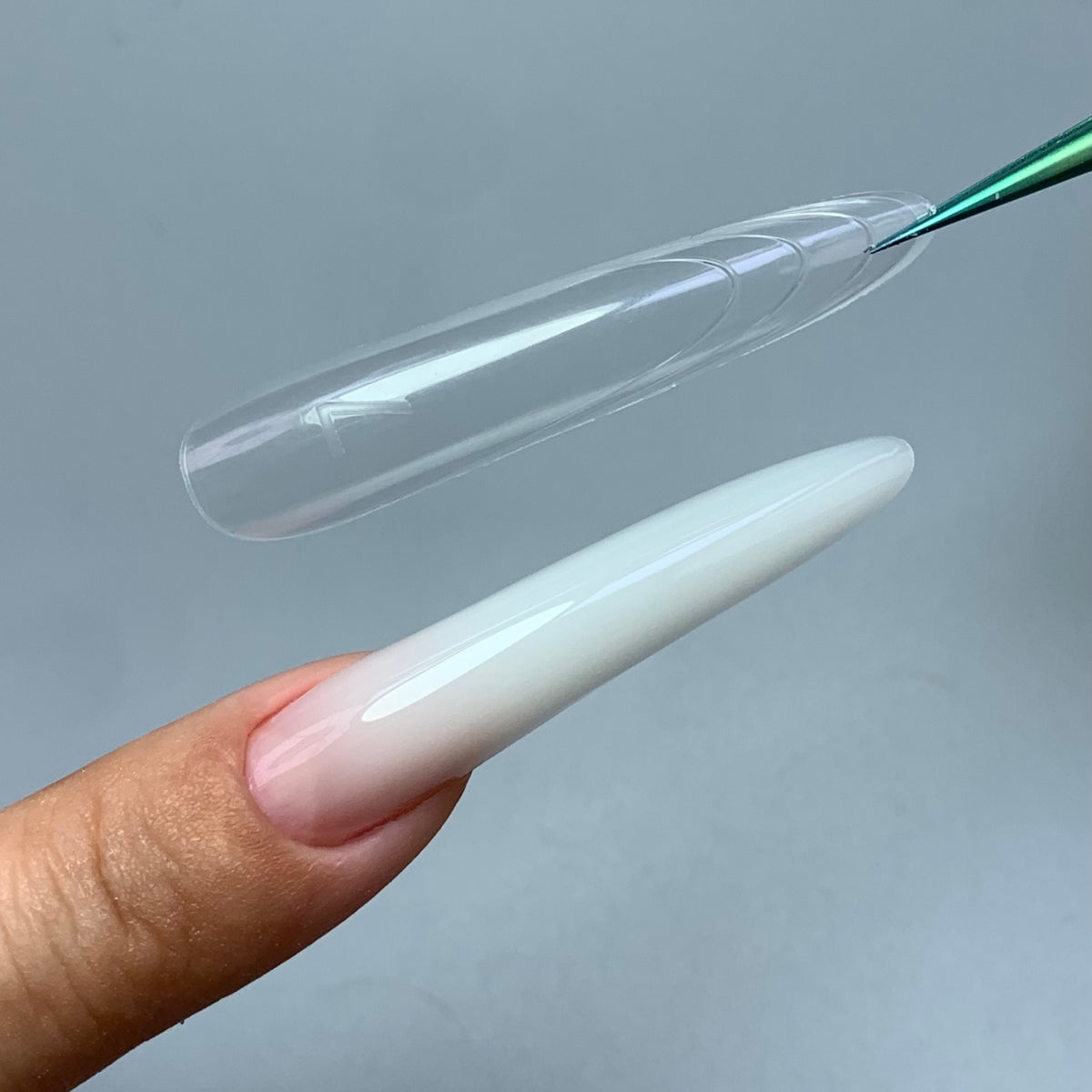 C03 long oval nail forms with clear reusable design, close-up view